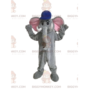 BIGGYMONKEY™ maskottiasu, harmaa norsu, jossa sininen