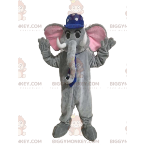 Harmaan norsun BIGGYMONKEY™ maskottiasu sinisellä lippalla