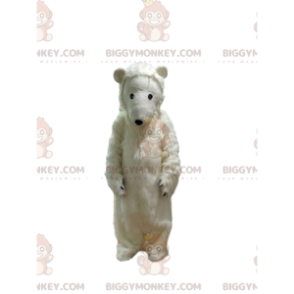 Traje de mascote BIGGYMONKEY™ tão adorável do urso polar - Mascote urso - BIGGYMONKEY_013444 - BiggyMonkey.com