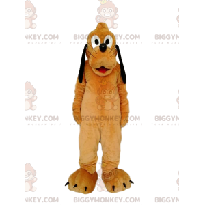 BIGGYMONKEY™ -maskottiasu Pluton, Walt Disneyn hauskan koiran -