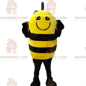 Traje de mascote engraçado de abelha amarela e preta