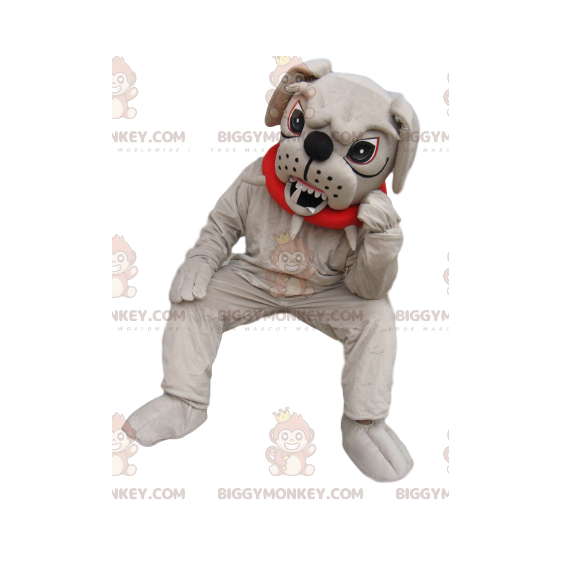 Disfraz de mascota BIGGYMONKEY™ Bulldog muy agresivo con cuello Disfraz de mascota BIGGYMONKEY™ Bulldog muy agresivo con cuello