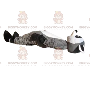 BIGGYMONKEY™ maskottiasu, harmaa ja musta pesukarhu