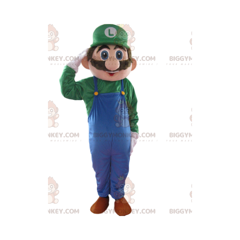 Mascotte di Mario e Luigi, 2 mascotte di Nintendo Formato L (175-180 CM)