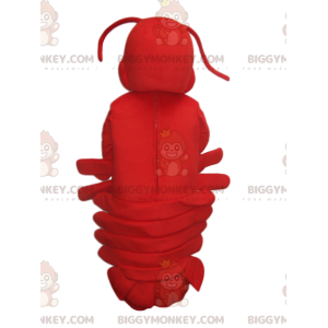Super süßes Red Lobster BIGGYMONKEY™ Maskottchenkostüm. Hummer