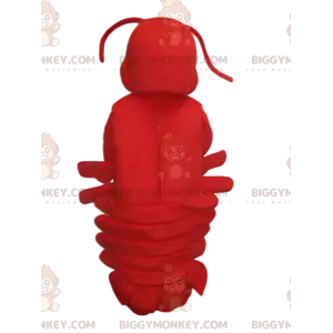 Super süßes Red Lobster BIGGYMONKEY™ Maskottchenkostüm. Hummer
