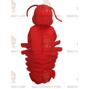 Σούπερ χαριτωμένη στολή μασκότ BIGGYMONKEY™ Red Lobster. στολή