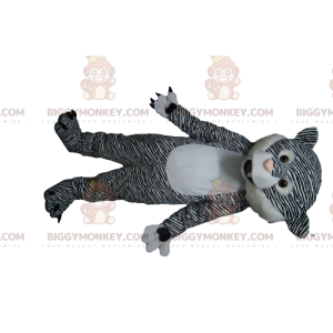 BIGGYMONKEY™ Maskottchen-Kostüm Schwarz-weißer Tiger mit