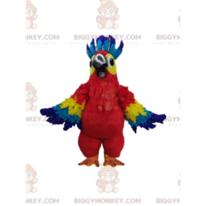 Traje de mascote de papagaio multicolorido super alegre