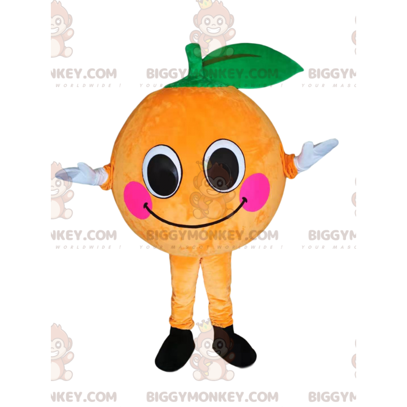 Fishing BIGGYMONKEY™ Maskottchen-Kostüm mit riesigem Lächeln - Fruchtmaskottchen - BIGGYMONKEY_013793 - BiggyMonkey.com