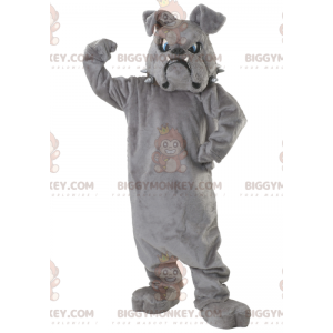 BIGGYMONKEY™ Mascot Costume Gray Bulldog With Blue Eyes –