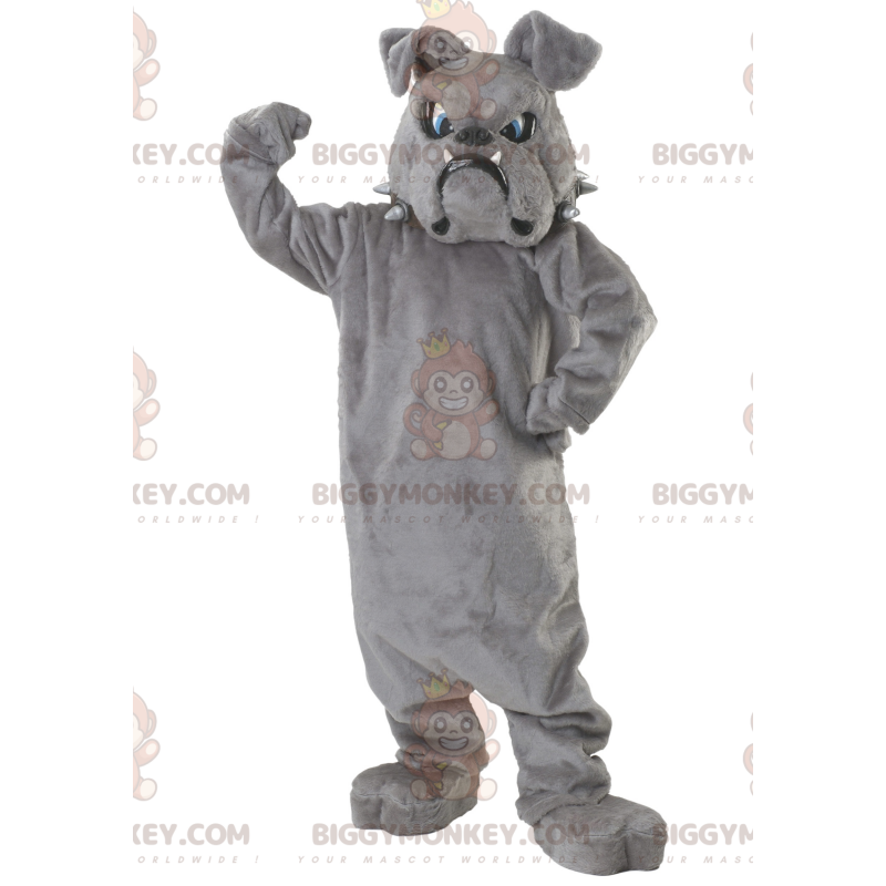 BIGGYMONKEY™ Mascot Costume Gray Bulldog With Blue Eyes –