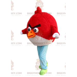 Costume de mascotte BIGGYMONKEY™ de Angry Bird rouge et noir -