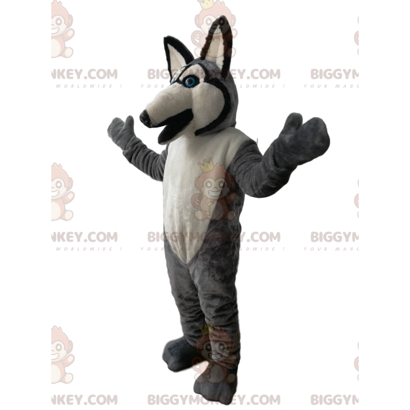 Costume de mascotte BIGGYMONKEY™ de loup gris et blanc avec des Costume de mascotte BIGGYMONKEY™ de loup gris et blanc avec des