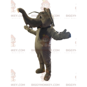 Puss in Boots BIGGYMONKEY™ maskotkostume med blå ternet jakke - Masker berømte mennesker - BIGGYMONKEY_014087 - BiggyMonkey.com