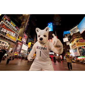 Traje de mascote de cachorro lobo branco BIGGYMONKEY™ em roupas