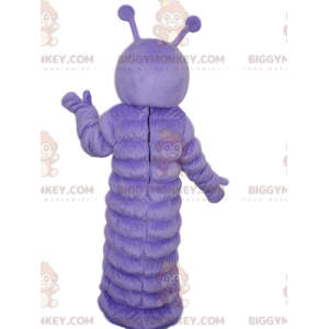 Costume da mascotte bruco viola BIGGYMONKEY™ con uno sguardo