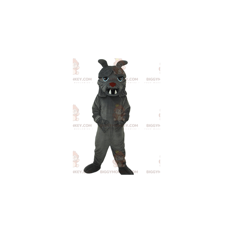 Big Teeth Grey Bulldog BIGGYMONKEY™ Maskottchen-Kostüm - Big Teeth Grey Bulldog BIGGYMONKEY™ Maskottchen-Kostüm -