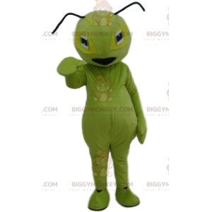 Groene mier BIGGYMONKEY™ mascottekostuum. Groene mier kostuum -