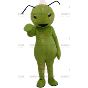 Grøn myre BIGGYMONKEY™ maskotkostume. Grøn myre kostume -
