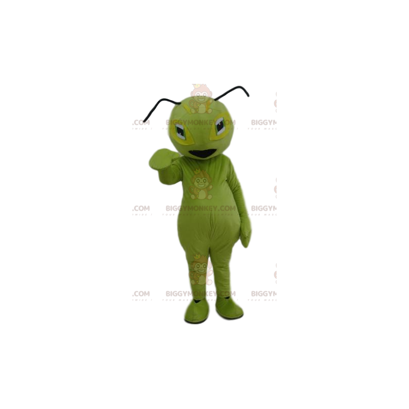 Green Ant BIGGYMONKEY™ Mascot Costume. Green ant costume - Green Ant BIGGYMONKEY™ Mascot Costume. Green ant costume -