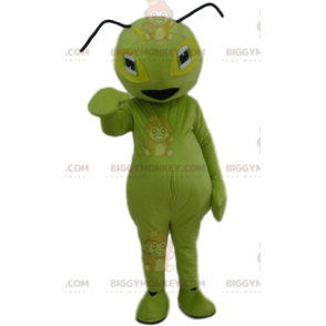 Grüne Ameise BIGGYMONKEY™ Maskottchenkostüm. Grünes