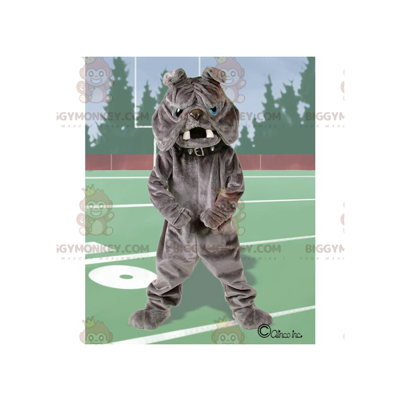Costume de mascotte BIGGYMONKEY™ de bulldog gris aux yeux bleus Costume de mascotte BIGGYMONKEY™ de bulldog gris aux yeux bleus