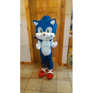 BIGGYMONKEY™ Maskotdräkt Sonic Famous Blue Hedgehog från