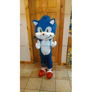 BIGGYMONKEY™ Μασκότ Στολή Sonic Famous Blue Hedgehog από το βιντεοπαιχνίδι - Μασκότ διάσημων χαρακτήρων - BiggyMonkey.com