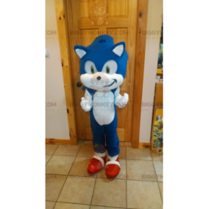 Costume de mascotte BIGGYMONKEY™ de Sonic hérisson bleu de jeu