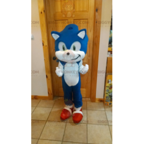BIGGYMONKEY™ Μασκότ Στολή Sonic Famous Blue Hedgehog από το βιντεοπαιχνίδι - Μασκότ διάσημων χαρακτήρων - BiggyMonkey.com
