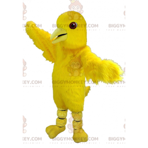 Giant Canary Yellow Bird BIGGYMONKEY™ maskotdräkt - Fågelmaskot - BIGGYMONKEY_01737 - BiggyMonkey.com