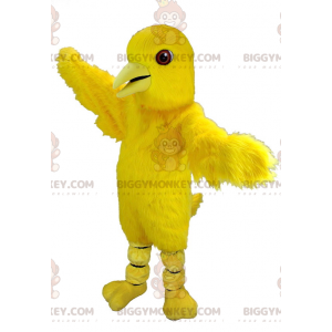 Kostium maskotka olbrzymi kanarek żółty ptak BIGGYMONKEY™ -