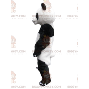 Kostium maskotki BIGGYMONKEY™ Biała i czarna panda z dużymi pazurami - Maskotka Pandy - BIGGYMONKEY_014378 - BiggyMonkey.com