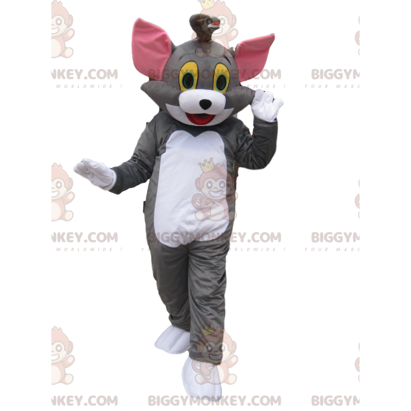 BIGGYMONKEY™ maskottiasu Tomille, kuuluisalle sarjakuvakissalle BIGGYMONKEY™ maskottiasu Tomille, kuuluisalle sarjakuvakissalle