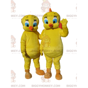 Tweety BIGGYMONKEY™ Mascot Costume Duo, från tecknad film