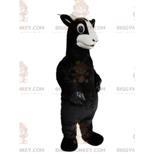 Black Goat BIGGYMONKEY™ maskotkostyme med et vakkert utseende - Gårdsdyr - BIGGYMONKEY_014462 - BiggyMonkey.com