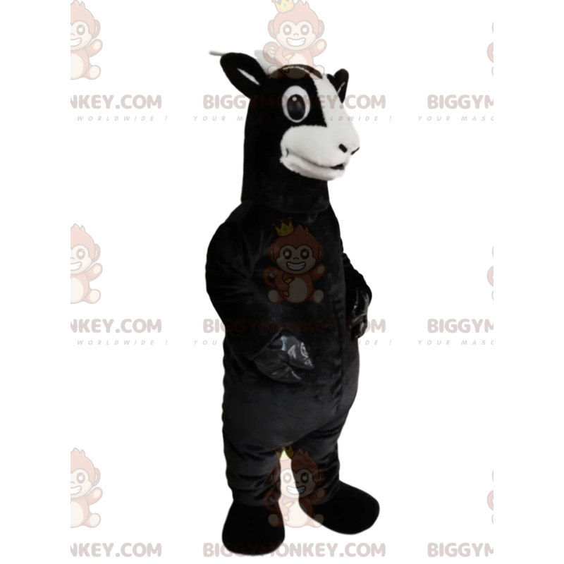 Black Goat BIGGYMONKEY™ maskotkostyme med et vakkert utseende - Gårdsdyr - BIGGYMONKEY_014462 - BiggyMonkey.com