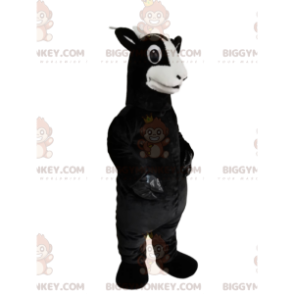 Black Goat BIGGYMONKEY™ maskotkostyme med et vakkert utseende - Gårdsdyr - BIGGYMONKEY_014462 - BiggyMonkey.com