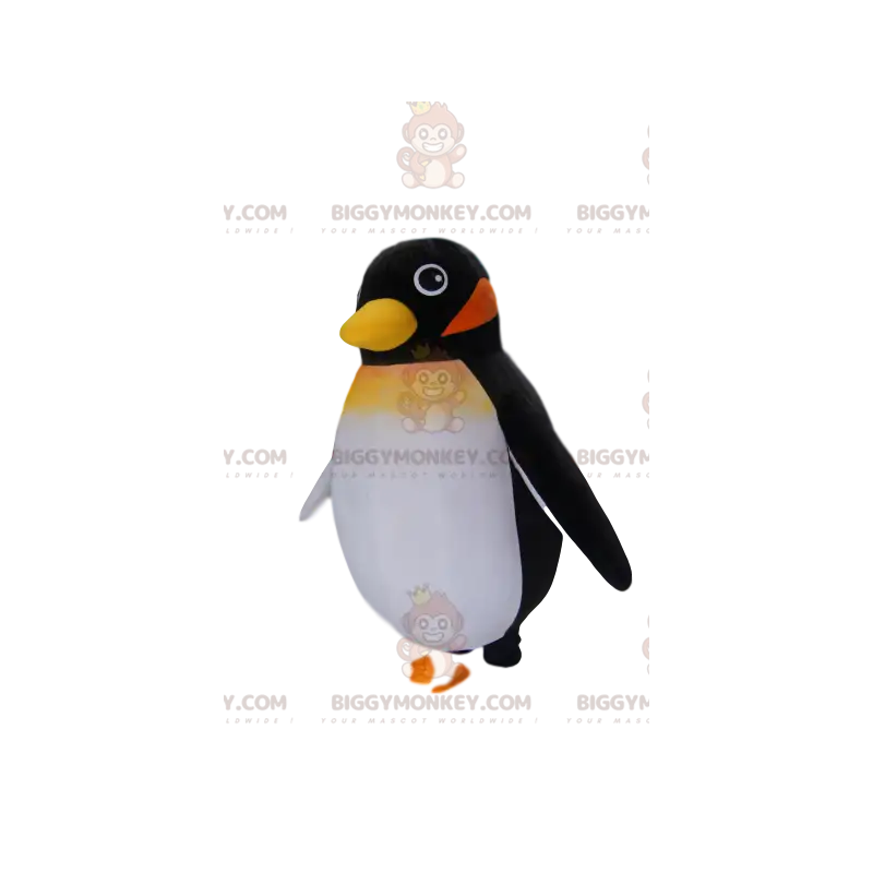 Little Black Penguin BIGGYMONKEY™ Mascot Costume. penguin Little Black Penguin BIGGYMONKEY™ Mascot Costume. penguin