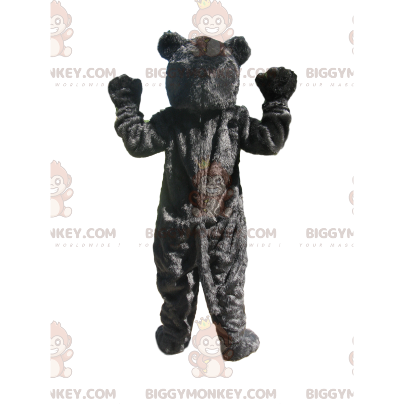 Costume de mascotte BIGGYMONKEY™ d'ours noir avec un museau Costume de mascotte BIGGYMONKEY™ d'ours noir avec un museau