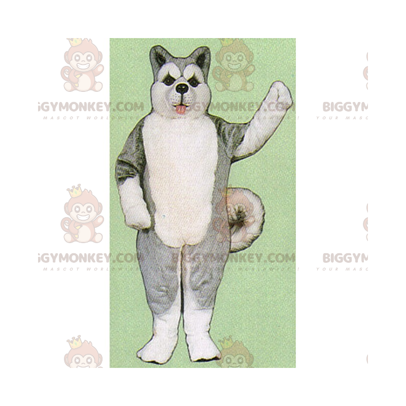 BIGGYMONKEY™ Ice Floe Animals -maskottiasu - harmaa husky -