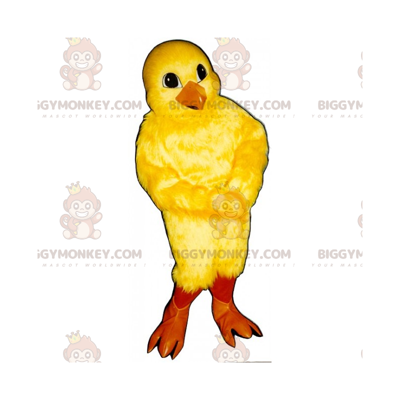 BIGGYMONKEY™ Farm Animal -maskottiasu - poikasen - Kanan maskotit - Kukot - Kanat - BIGGYMONKEY_014773 - BiggyMonkey.com
