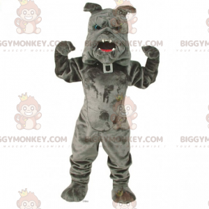 BIGGYMONKEY™ Pet Mascot Costume - Bulldog med halsbånd -