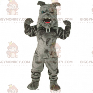 Disfraz de mascota BIGGYMONKEY™ - Bulldog con collar -