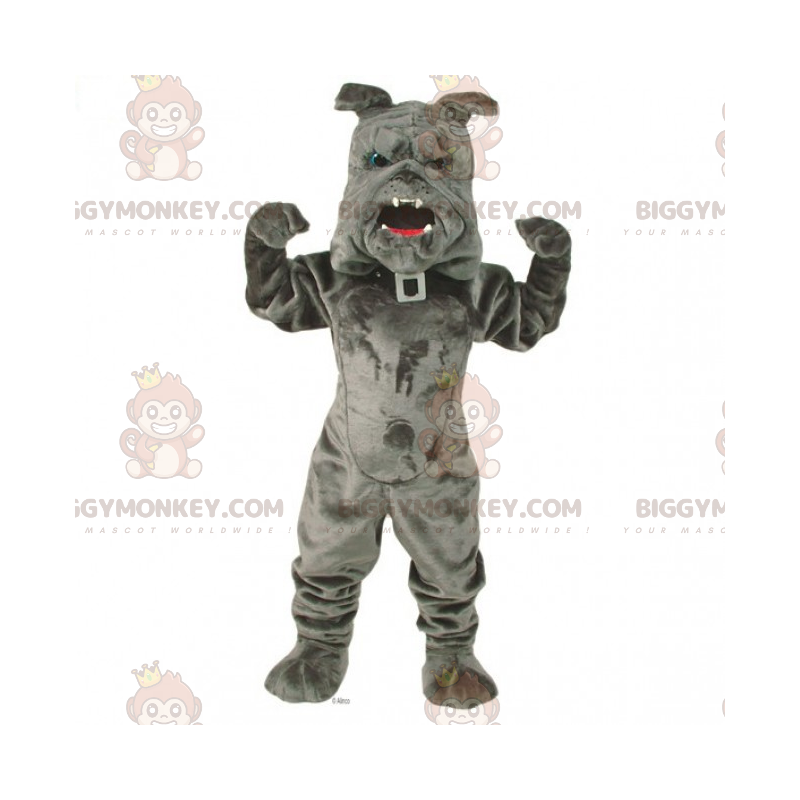 Costume de mascotte BIGGYMONKEY™ animaux domestiques - Bulldog Costume de mascotte BIGGYMONKEY™ animaux domestiques - Bulldog