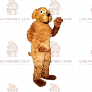 BIGGYMONKEY™ Lemmikkieläinten maskottiasu - Labrador -