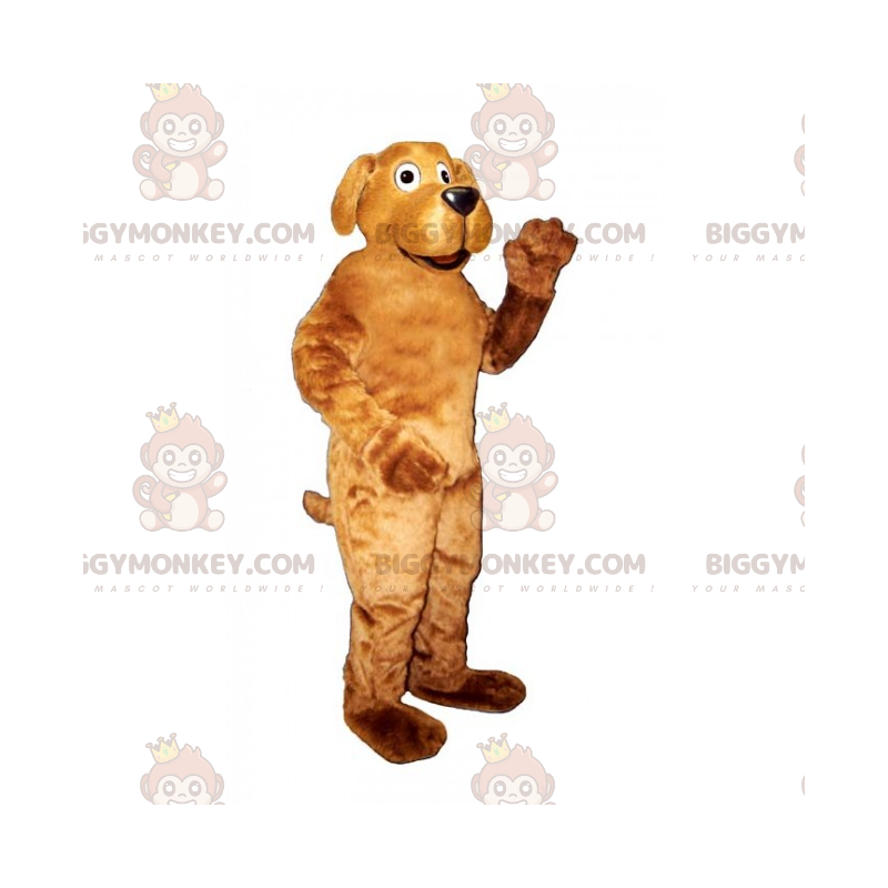 Costume de mascotte BIGGYMONKEY™ animaux domestiques - Labrador Costume de mascotte BIGGYMONKEY™ animaux domestiques - Labrador
