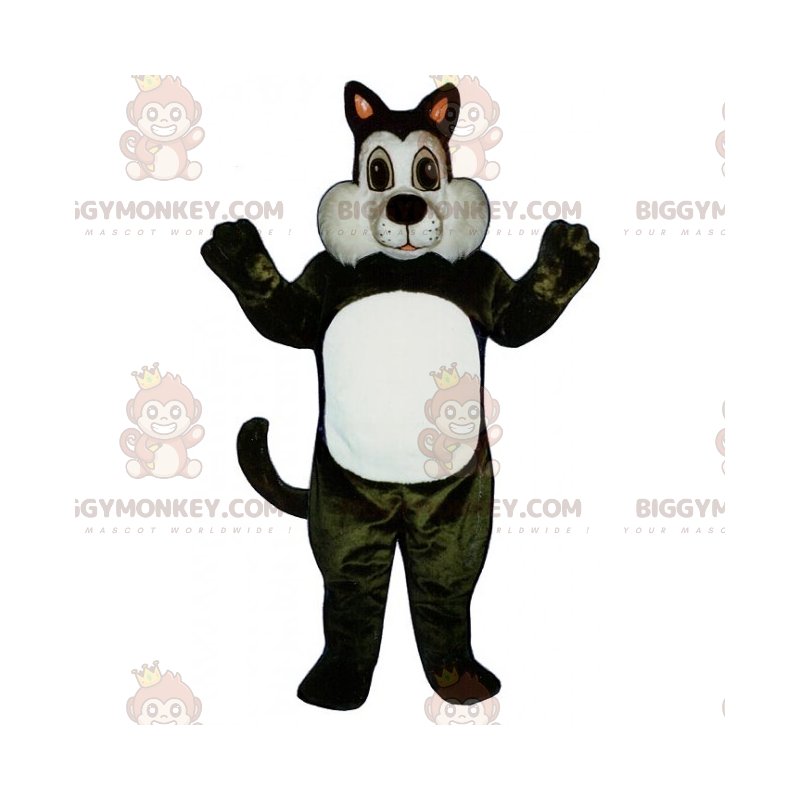 Simpatico costume della mascotte del gatto bianco e nero