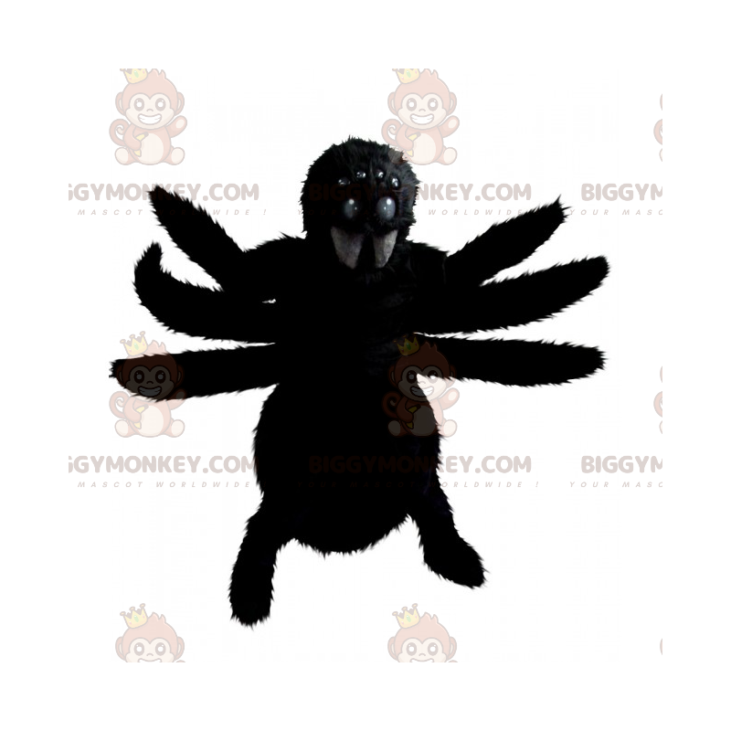 Zwarte spin BIGGYMONKEY™ mascottekostuum - Biggymonkey.com Zwarte spin BIGGYMONKEY™ mascottekostuum - Biggymonkey.com